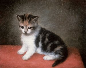 Frøken Ann Whites kattunge, 1790